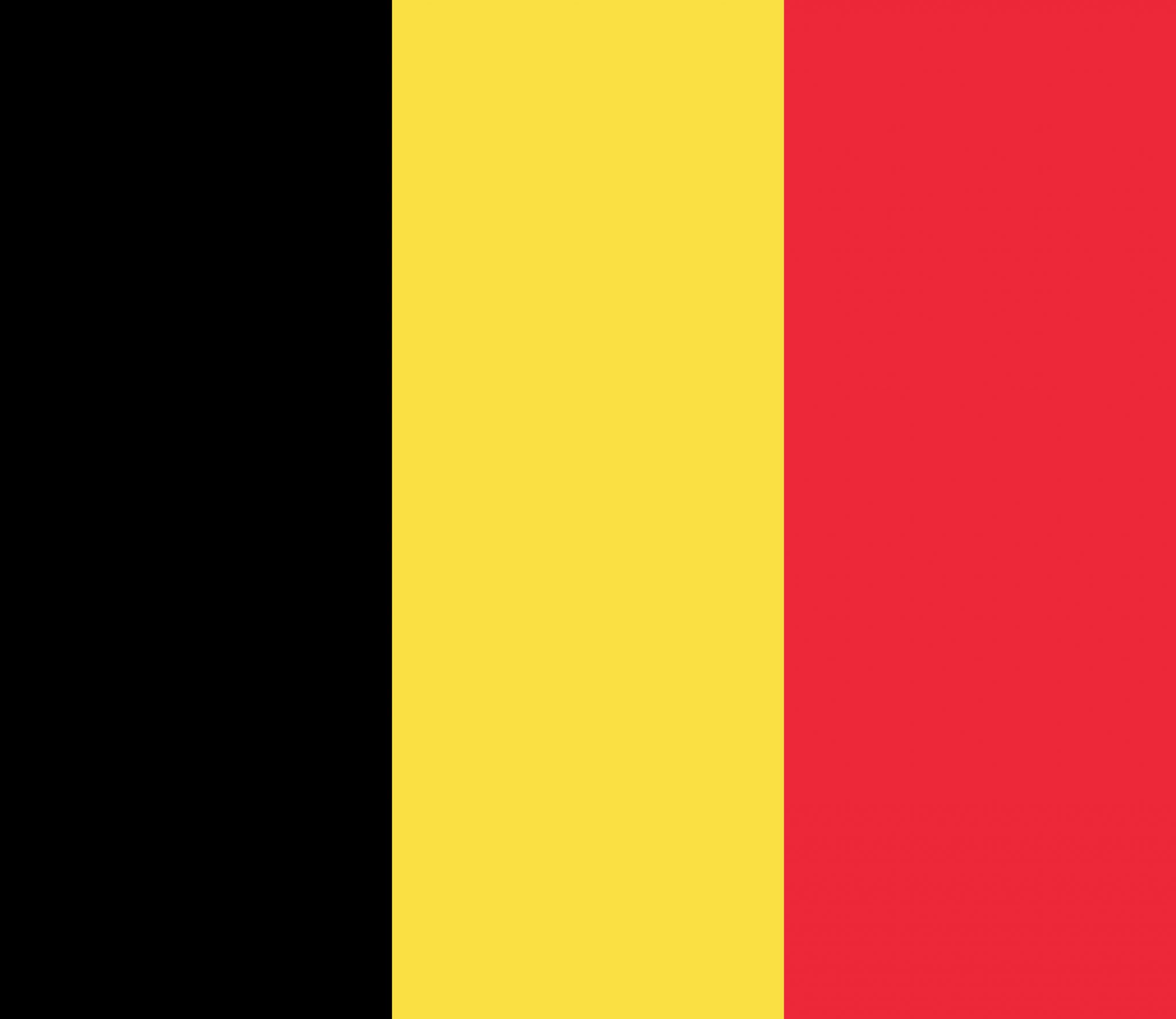 Alle soorten roofvogels en uilen in België