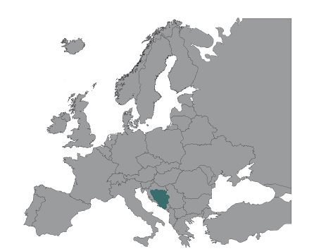 Roofvogels en uilen in Bosnië