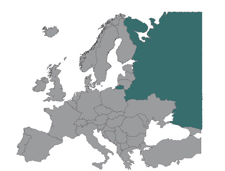 Roofvogels en uilen in Rusland