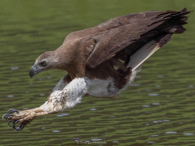 Foto van de maand april 2021