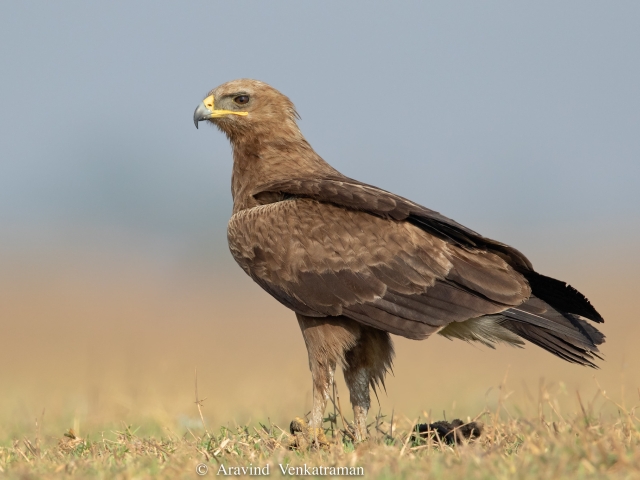 Foto van de maand september 2022