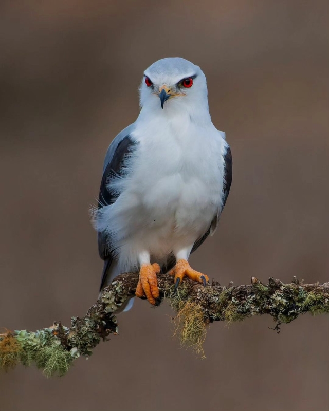 Foto van de maand februari 2024