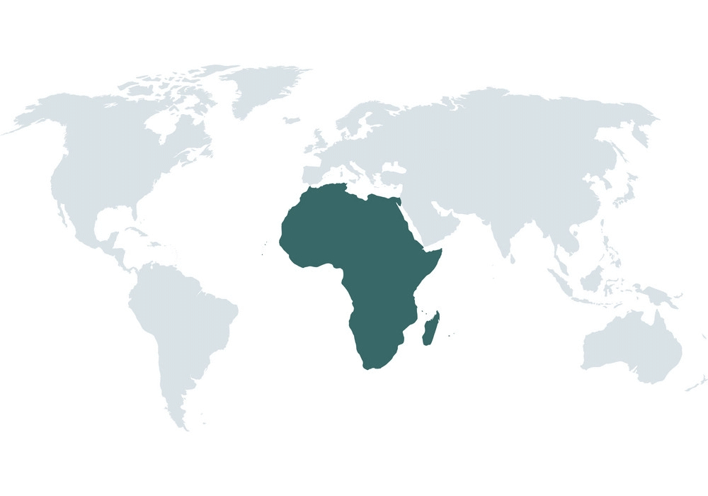 Roofvogels en uilen in Afrika