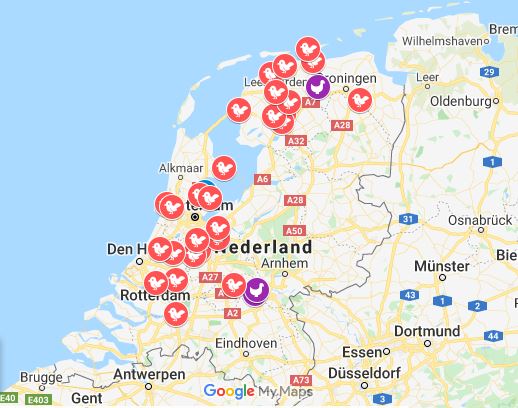 Locaties waar vogelgriep is vastgesteld in Nederland