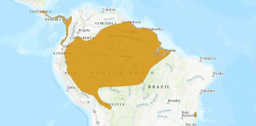 Voorkomen in de wereld Voorkomen in de wereld